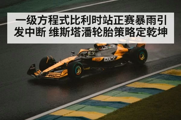 一级方程式比利时站正赛暴雨引发中断 维斯塔潘轮胎策略定乾坤