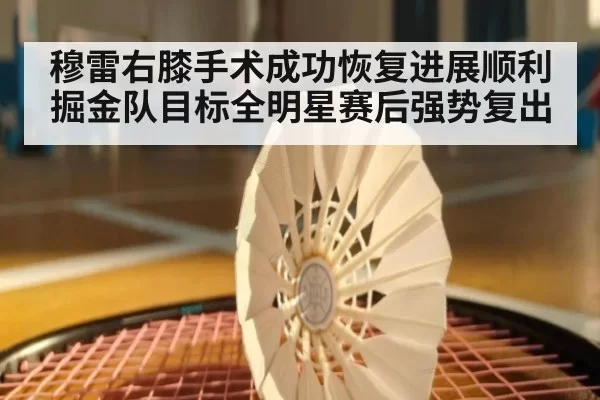 穆雷右膝手术成功恢复进展顺利 掘金队目标全明星赛后强势复出